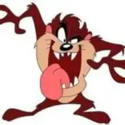 Gata premium- Gringa